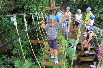 Roatan Half day zip line combo beaches monkeys and sloth hangout