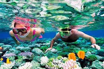 Reef Snorkel, underwater adventure in Puerto Morelos With Transportation & Lunch