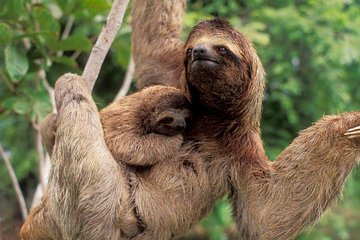 Manuel Antonio National Park Adventure