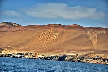 Ballestas Islands and Paracas Reserve from San Martin Port