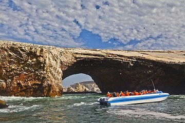 Ballestas Islands Group Tour from San Martin Port