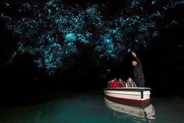 Rotorua to Auckland Afternoon Transfer with Waitomo Glow Worms