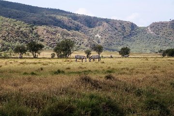 Private Hiking Day Trip to Mt. Longonot from Nairobi