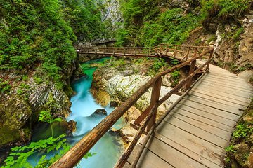 From Bled: Self-Guided E-Bike Tour to Vintgar Gorge