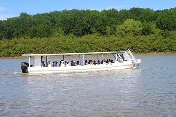 Palo Verde National Park Boat Tour