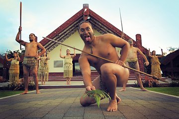 Rotorua Discovery Te Puia Tour