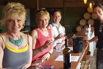 Guided Wine Tasting Tour of Temecula