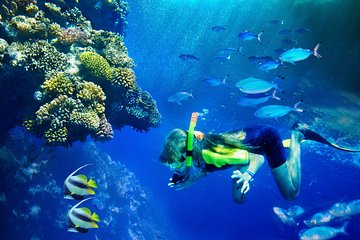 Lanai Snorkel and Dolphin Watch from Maalaea