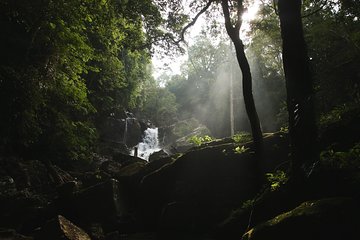 Rainforest Explorer from Bentota (2 Days)