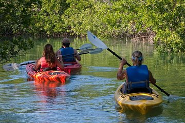 Key West Half Day Kayak Rental