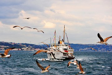 Afternoon Bosphorus Cruise Tour, Golden Horn Coach Tour and Pierre Loti Tour