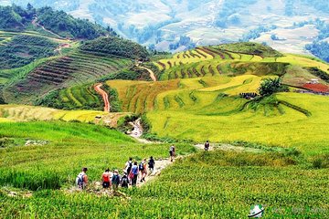 The Best Sapa Tour 2D1N At 3 Star Hotel by sleeping BUS TRANSFER 