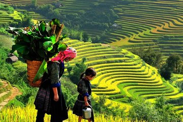 Sapa Trekking Tours - 2 Days 1 Night Stay At Homestay