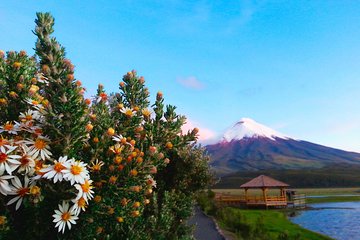 Cotopaxi Full-Day from Quito Including Entrances