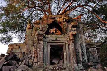 Day Trip to Beng Mealea Temple and Kampong Khleang from Siem Reap