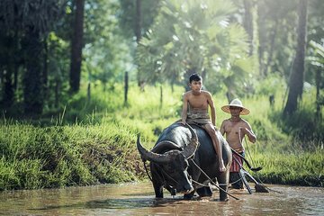 Village Life Tour from Siem Reap