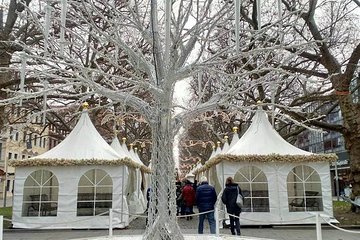 8 hours Dresden Private Christmas Market Tour from Prague