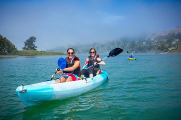 Russian River Kayak Tour at the Beautiful Sonoma Coast