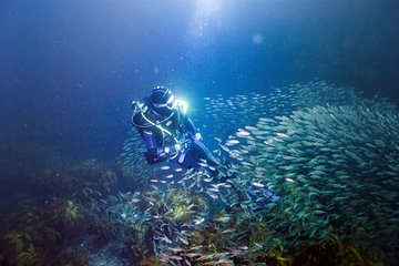 Full-Day Scuba Dive Charter to Little Barrier Island