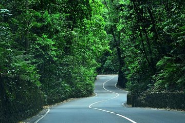 Eco-Tour (Konoko Falls & Fern Gully- from Ocho Rios
