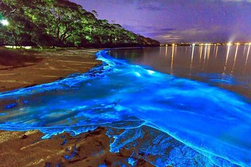 Luminous Lagoon Small Group Tour from Montego Bay