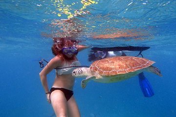 Florida Keys Eco Tour -snorkel, kayak, lunch + transportation