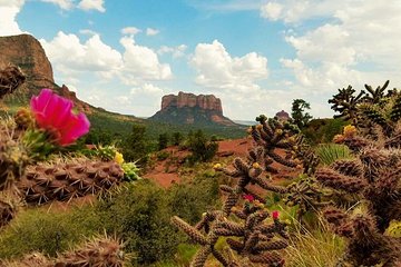 Sedona Day Trip from Phoenix