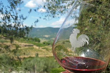 Greve in Chianti Wine Tasting and Winery Tour