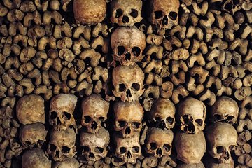  Skip-the-Line Paris Catacombs Special Access Tour
