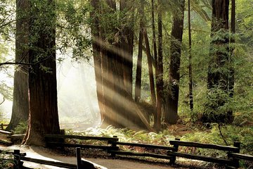 Muir Woods & Napa-8hr-Private Scenic Wine Tour From San Francisco