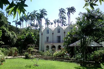 Barbados Harrison's Cave and St Nicolas Abbey Tour