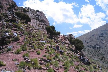 trekking in Morocco