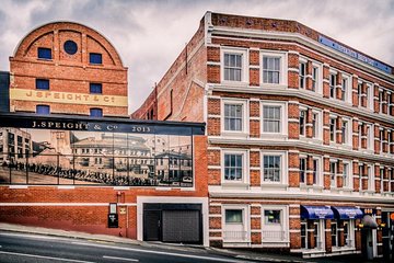 Speight Brewery Small Group Guided Tour from Dunedin