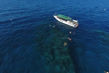 Half Day Snorkel off Lanai with Dolphin Search 10 Guest Minimum