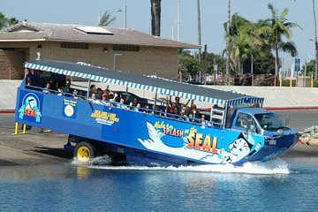 San Diego Shore Excursion: San Diego Seal Tour