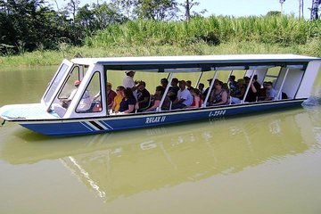 Zipline and Canal Tour