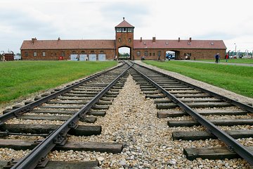 Auschwitz-Birkenau and Wieliczka Salt Mine Day Tour from Krakow with private car
