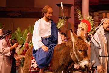 Palm Sunday in Jerusalem: Mass at Bethpage and Via Dolorosa Procession with Transport from Tel Aviv