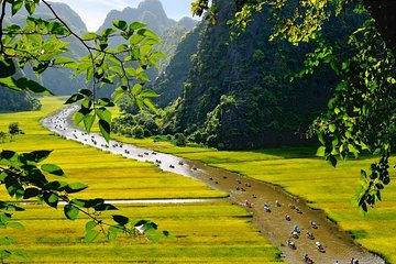 Hoa Lu - Tam Coc: Boat Trip and Bicycle Ride