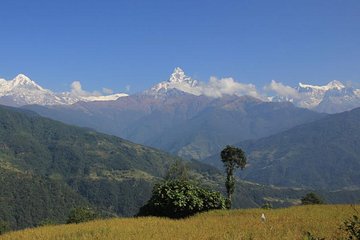 Annapurna Panorama trek