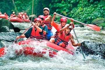 Bali Rafting and Tegalalang Race Terrace Tour