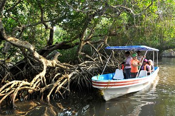 Mandinga And Boat Trip Tour