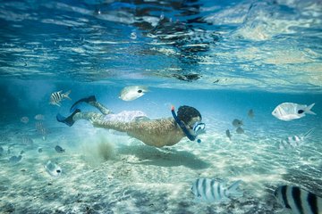 Punta Cana Booze Cruise with Snorkeling, Natural Pool & Open Bar