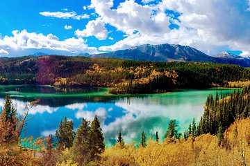 Skagway Shore Excursion: Full-Day Tour of the Yukon