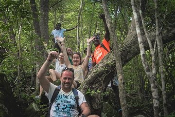 Mt Pimard Nature Trail Hike