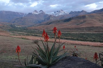 Drakensberg Mountain day Tour into Lesotho from Durban