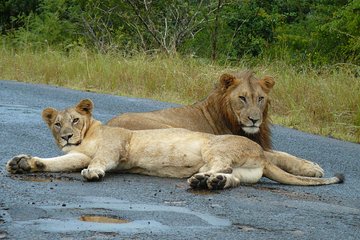 3 Days Durban Safari Tour Package