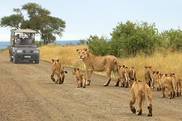 Kruger National Park Day Trip From Johannesburg