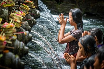 Full-day Private Cultural Tour of Ubud in Bali