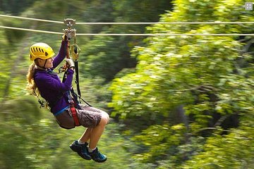 Big Island Kohala Canopy Zipline Adventure